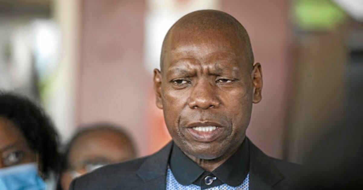 Mkhize Vip Protection Mkhize served SA well despite Digital Vibes scandal: Ramaphosa
