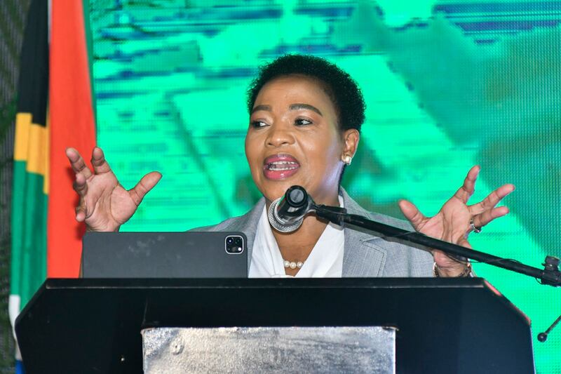 KwaZulu-Natal premier Nomusa Dube-Ncube.